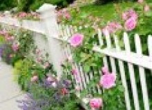 Kwikfynd Garden fencing
smithsbeach